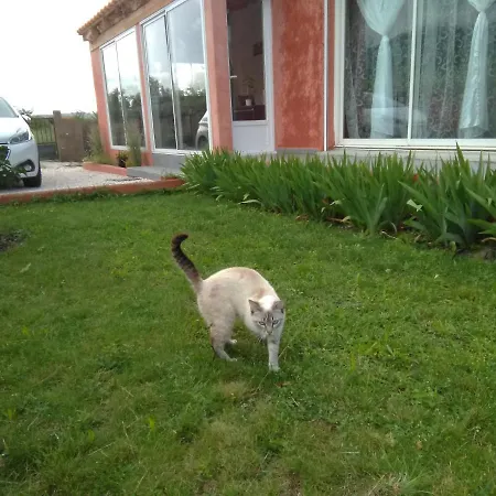 Bleu Du Sud Βίλα Rigarda