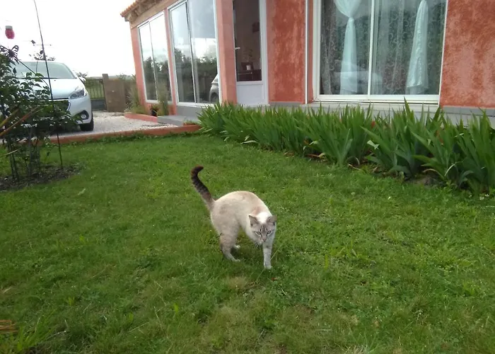 Bleu Du Sud 빌라 Rigarda